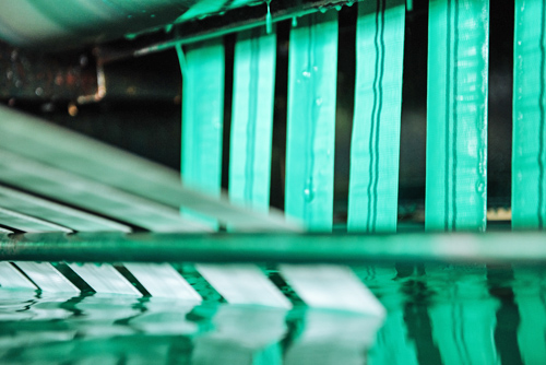 Avocet dyeing department